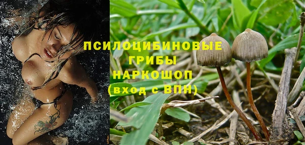 мдпв Бугульма