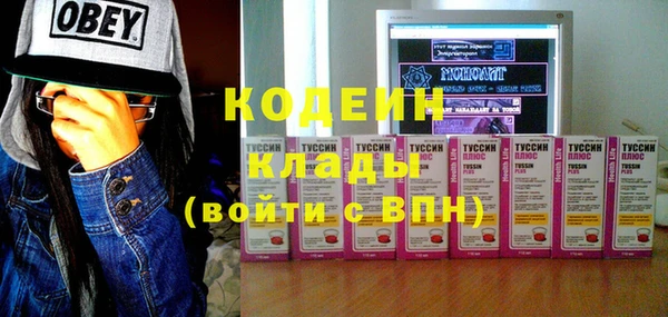 индика Сафоново