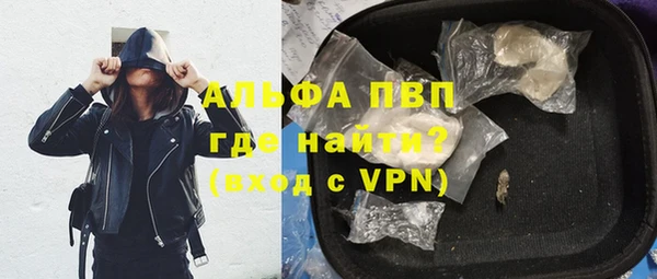 спиды Верея
