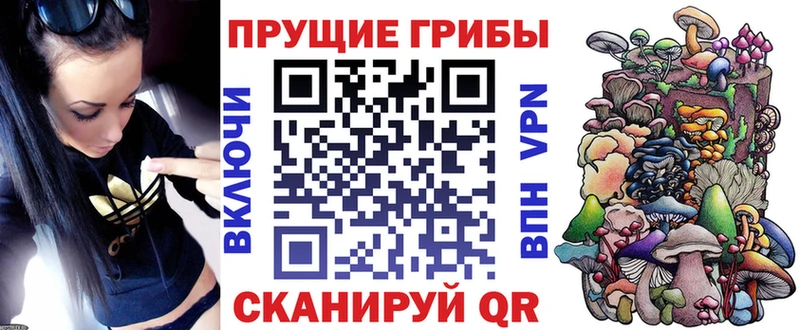 Псилоцибиновые грибы Magic Shrooms хочу Острогожск