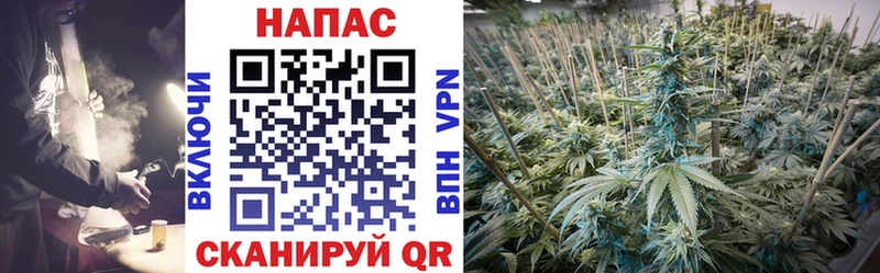МАРИХУАНА LSD WEED  Острогожск 